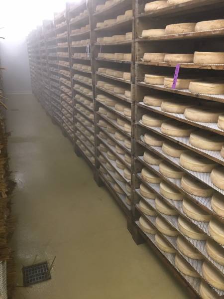 Sols en résine polyuréthane ciment pour un site de production agroalimentaire à Clermont-Ferrand